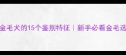 纯种金毛犬的15个鉴别特征新手必看金毛选购指南