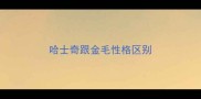 哈士奇跟金毛性格区别