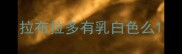 拉布拉多有乳白色么