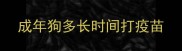 成年狗多长时间打疫苗