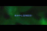 株洲中心宠物医院