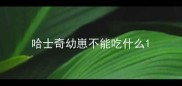 哈士奇幼崽不能吃什么