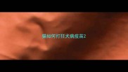 猫如何打狂犬病疫苗
