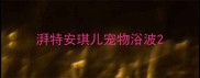 湃特安琪儿宠物浴波