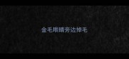 金毛眼睛旁边掉毛