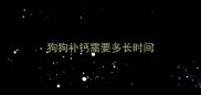 狗狗补钙需要多长时间