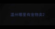 温州哪里有宠物卖