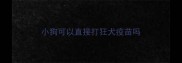小狗可以直接打狂犬疫苗吗