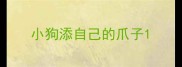 小狗添自己的爪子