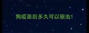 狗疫苗后多久可以驱虫