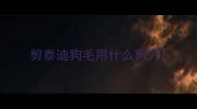 剪泰迪狗毛用什么剪刀