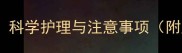 母狗产仔全流程指南科学护理与注意事项附产前产后必备清单