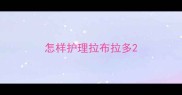 怎样护理拉布拉多