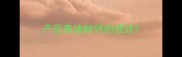 产后泰迪缺钙的症状