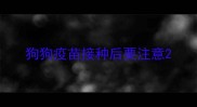 狗狗疫苗接种后要注意