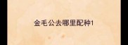 金毛公去哪里配种