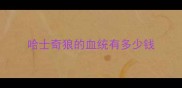 哈士奇狼的血统有多少钱