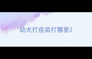 幼犬打疫苗打哪里