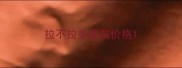 拉不拉多疫苗价格