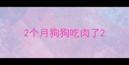 2个月狗狗吃肉了