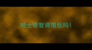 哈士奇智商很低吗