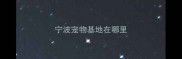 宁波宠物基地在哪里