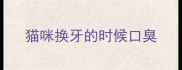 猫咪换牙的时候口臭