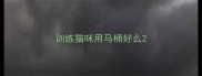 训练猫咪用马桶好么
