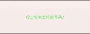 哈士奇有怎样的耳朵