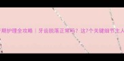 狗狗换牙期护理全攻略牙齿脱落正常吗这7个关键细节主人必看