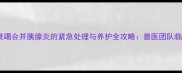 狗狗肾衰竭合并胰腺炎的紧急处理与养护全攻略兽医团队临床经验