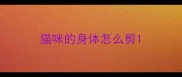 猫咪的身体怎么剪