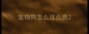 宠物狗怎么这么贵