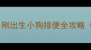 新手养狗必看刚出生小狗排便全攻略附护理要点