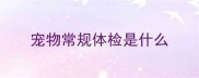 宠物常规体检是什么