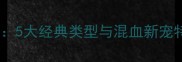 哈士奇品种全5大经典类型与混血新宠特征对比指南