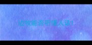 边牧能否听懂人话
