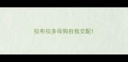 拉布拉多母狗自我交配