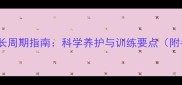边境牧羊犬全生长周期指南科学养护与训练要点附各阶段护理表