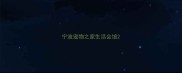 宁波宠物之家生活会馆
