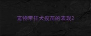 宠物带狂犬疫苗的表现