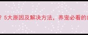 狗狗牙龈发黑5大原因及解决方法养宠必看的口腔护理指南