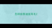 怎样给泰迪拔耳毛