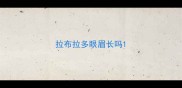 拉布拉多眼眉长吗