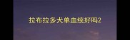 拉布拉多犬单血统好吗