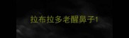 拉布拉多老醒鼻子