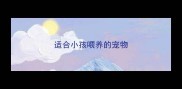 适合小孩喂养的宠物