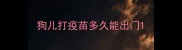 狗儿打疫苗多久能出门