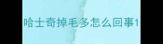 哈士奇掉毛多怎么回事