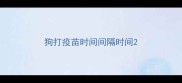 狗打疫苗时间间隔时间